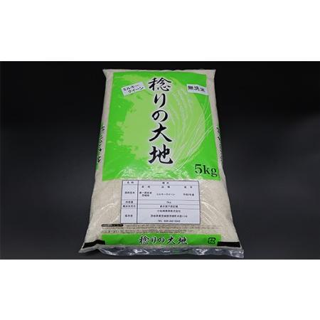 ふるさと納税 茨城県産ミルキークイーン10kg（小松崎商事256） 茨城県茨城町