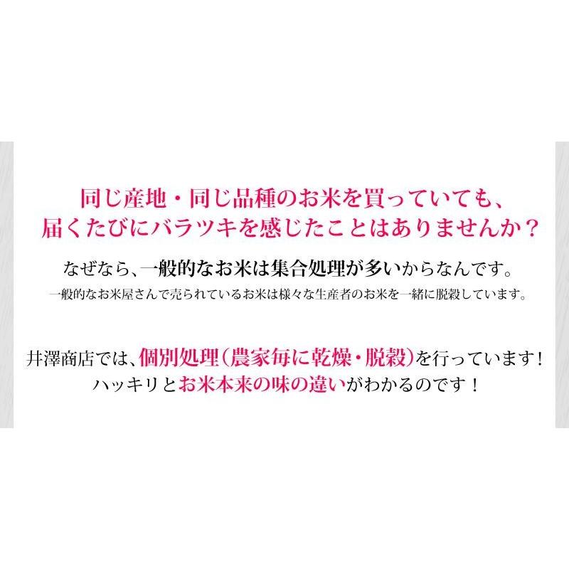 ＼新米入荷／ 米 玄米 10kg 藤本勝彦さん ミルキークイーン 玄米 白米・小分け選択可 令和5年兵庫県稲美町産 産地直送