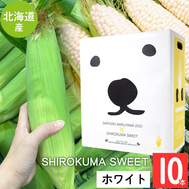  北海道 とうもろこし 送料無料 SHIROKUMA SWEET 北海道産 ホワイトコーン 10本   産地直送 ピュアホワイト ホワイトショコラ