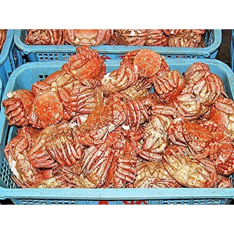 毛がに(800ｇ)×5尾 (ボイル・冷凍) 北海道オホーツク産毛ガニ出荷元:北海道四季工房