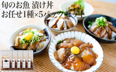 旬 の お魚 漬け丼 お任せ 5種 計5パックセット