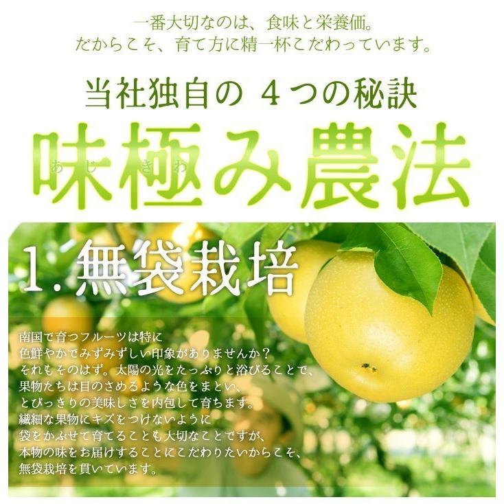 11月中旬　訳あり サンふじ 8キロ  長野産 減農薬 送料無料