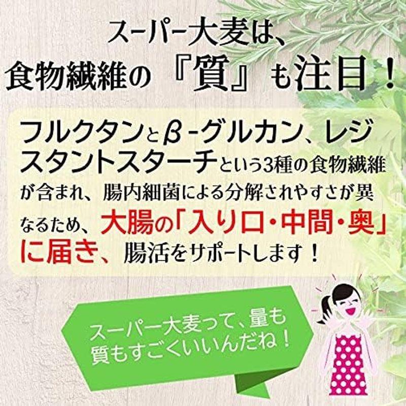 食物繊維量がもち麦の1.6倍「スーパー大麦のちから」(120g＊10袋)