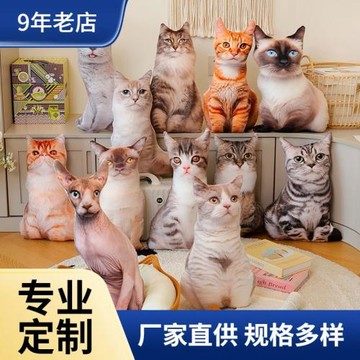 仿真3D貓咪抱枕毛絨玩具抱著睡覺的喵星人公仔創意搞怪玩偶禮物