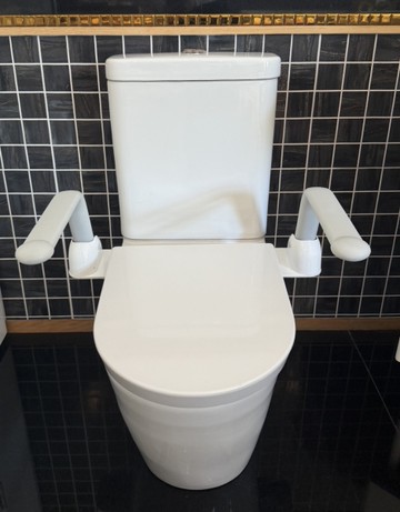 【麗室衛浴】A-800 馬桶專用扶手輔助起身可折疊扶手