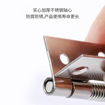 〖臺灣熱賣〗不鏽鋼彈簧合頁 大全關閉門器 自動回位帶扭簧 小型迷你 五金摺頁鉸鏈