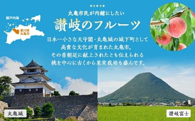 フルーツ 定期便 4回　旬に出逢う城下町の果実 定期配送 いちご 桃 シャインマスカット みかん 果実 果物 ぶどう