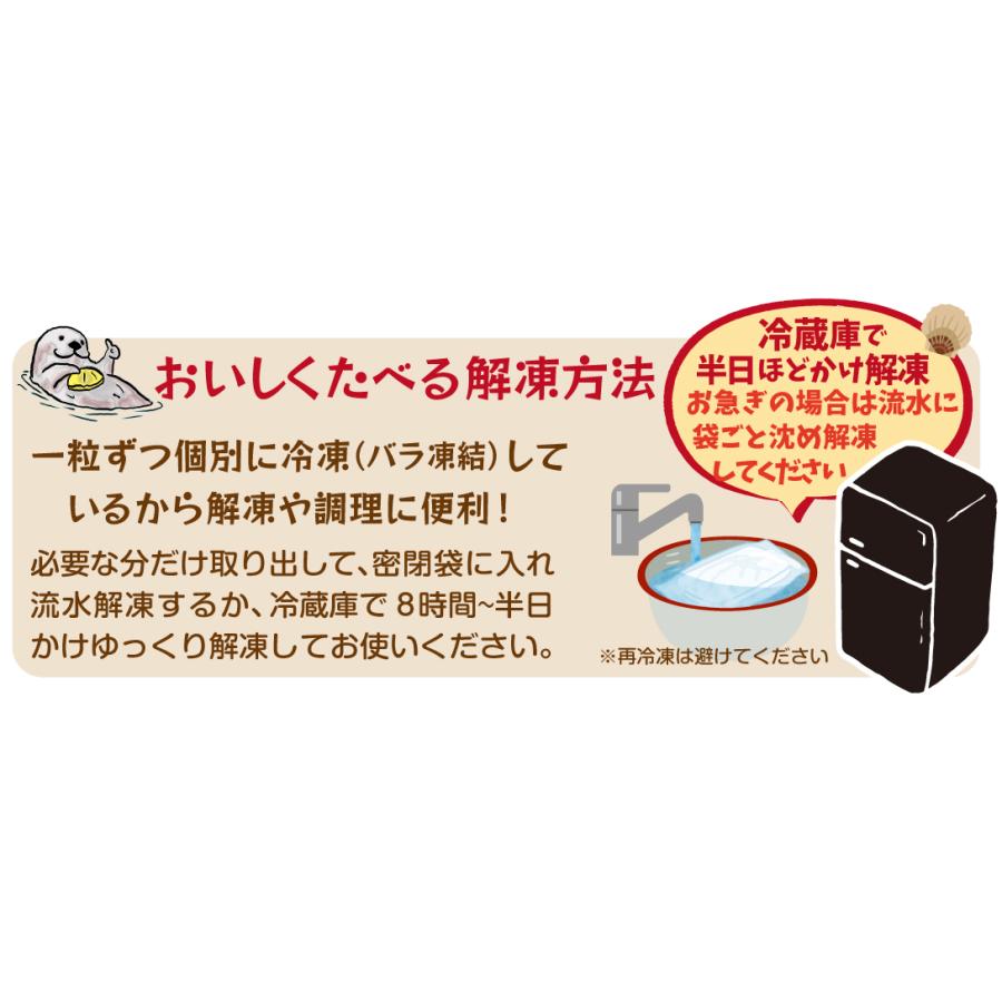 ほたて 1kg 特大粒 生ほたて貝柱 宮城産 刺身用 21〜25粒入り ギフト 正規品 帆立 希少サイズ 冷凍便 送料無料