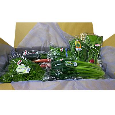 ふるさと納税 広陵町 大和情熱野菜の玉手箱