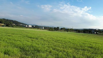 苗栗西湖苗34線大面寬臨路好入手美景農地｜苗栗縣西湖鄉高埔