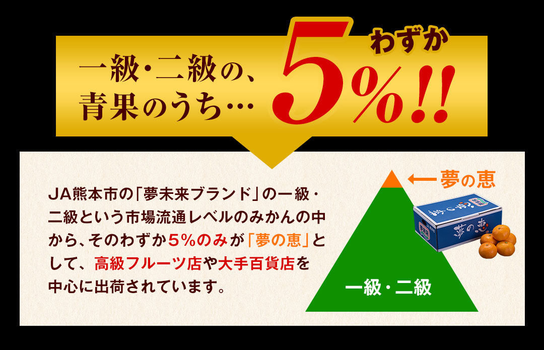 夢の恵 みかん 2.5kg前後(20玉〜30玉前後) 糖度12度以上 ブランド みかん ブランド 贈答用 糖度 12度 以上 熨斗 7-14営業日以内に発送予定(土日祝日除く)