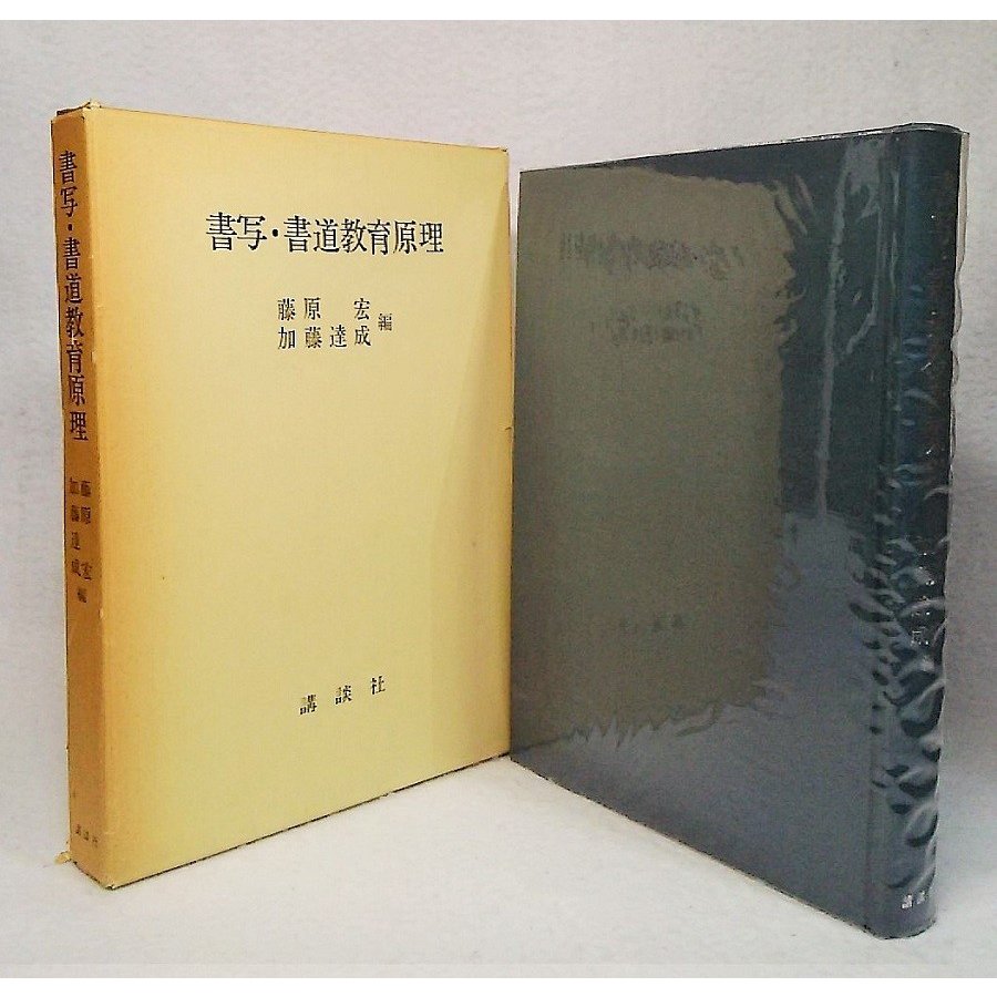 書写・書道教育原理　藤原宏・加藤達成講談社