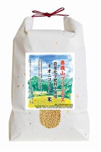 定期便12回 限定10口 「天然記念物森青蛙」産卵水田 玄米5kg 標高六百米