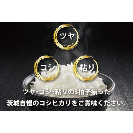 ふるさと納税  令和5年産 新米 茨城 コシヒカリ 10kg (5kg×2袋) ×3カ月 米 お米 おこめ 白米 ライス ご飯 精米 こしひ.. 茨城県大洗町