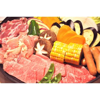 ふるさと納税 小田原市 相州黒毛和牛肩肉焼肉用　250g×2パック