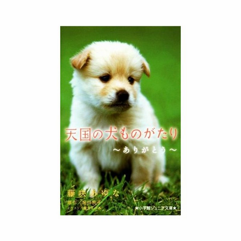 天国の犬ものがたり ありがとう 小学館ジュニア文庫 藤咲あゆな 著者 堀田敦子 その他 環方このみ その他 通販 Lineポイント最大0 5 Get Lineショッピング