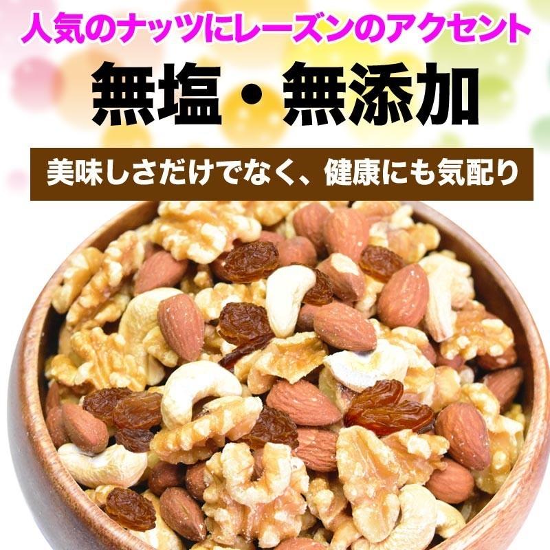 ミックスナッツ  レーズン 500g 無塩 無添加 くるみ アーモンド レーズン カシューナッツ 訳有 割れ欠け混 メール便送料無料