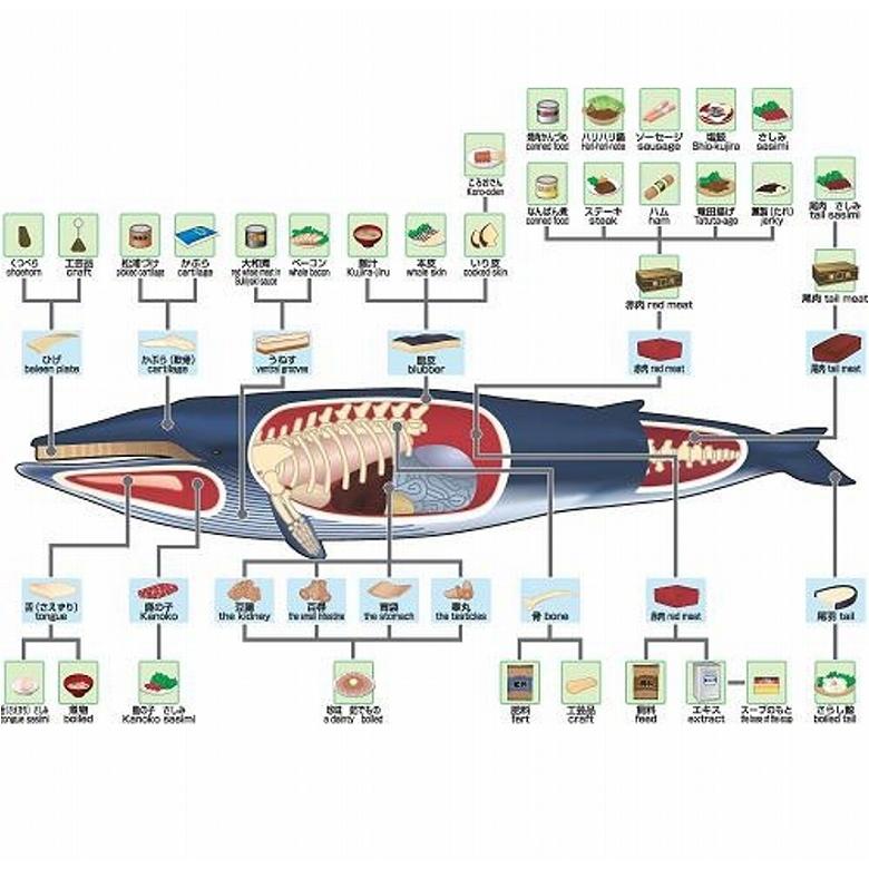 鯨 くじら クジラ ベーコン 鯨ベーコン 切り落とし 100ｇ×4パック