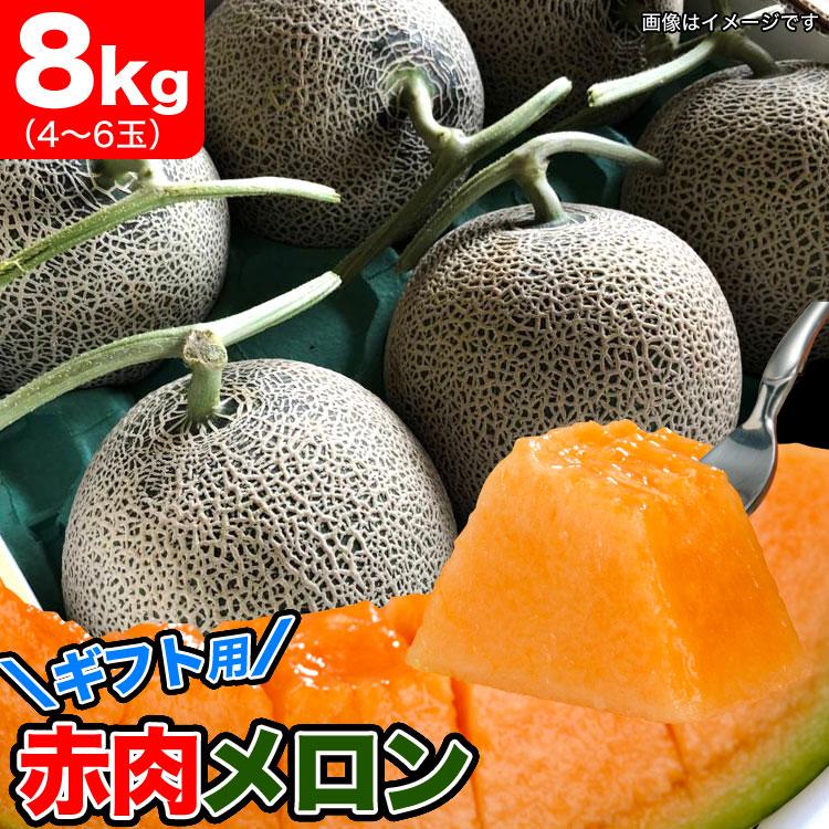 爆買い！ 北海道産 メロン 2玉 果物 売れ筋 (JA共撰 自宅用 良品) 北海道