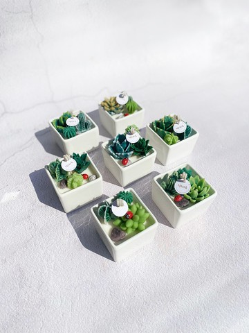 多肉植物方盆蠟燭 | 手工香氛蠟燭