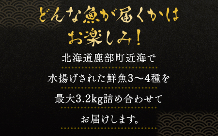 北海道産 冷凍鮮魚セット 最大3.2kg 「漁師応援プロジェクト！」 下処理済み 冷凍 鮮魚 海鮮 海産 地元