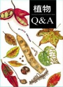 植物Q&A[二手書_普通]