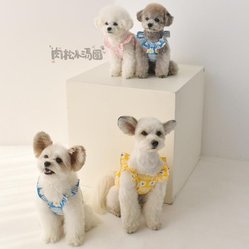 預定#韓國lila夏季新款條紋雛菊小飛袖狗狗吊帶狗狗背心