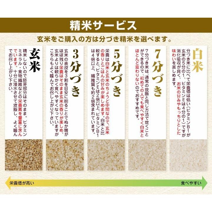 令和5年産生産者特定米　良ちゃんのコシヒカリ（白米）5kg(5kg×1袋) 　送料無料(一部地域を除く)