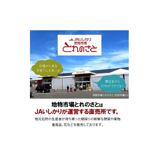 ふるさと納税 北海道 石狩市 140001 石狩米ななつぼし 5kg