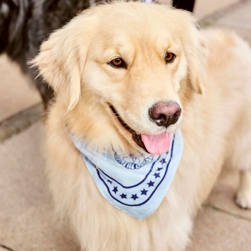 萌寵精選禮【HAY丹麥當代家居設計】Dogs Scarf / 寵物領巾 - 淺藍