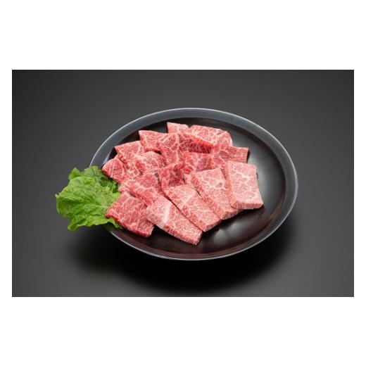 ふるさと納税 山形県 舟形町 焼肉セット（モモ・カタ・カルビ）500g