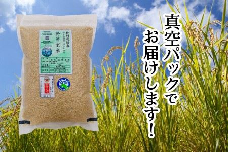 無農薬 福井県産 コシヒカリ特選 真空パック 3kg  ～玄米以上の栄養価と白米に近い柔らかさ～ [A-2922]