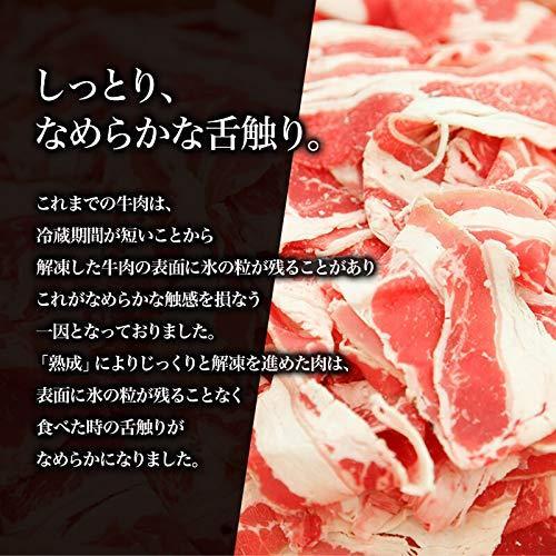 吉野家 [超特盛牛丼の具290g] 冷凍食品 (レンジ・湯せん調理OK) (10袋)