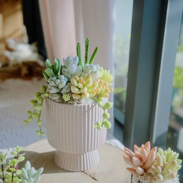 【日系禮物】多肉大花園(豎紋款-裸色).手作黏土多肉植物.附提袋