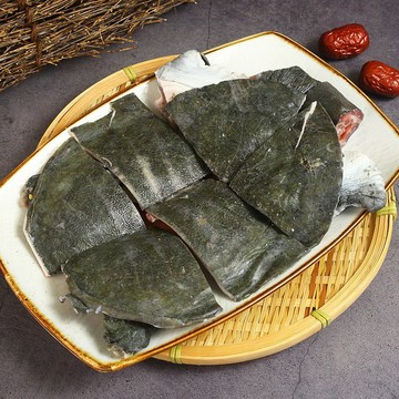 生鮮甲魚