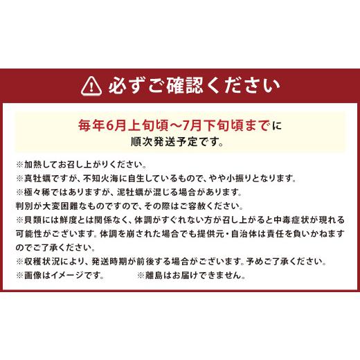 ふるさと納税 熊本県 上天草市 岩ガキ 合計約1.5kg（約150g×10個）加熱用 冷蔵 岩牡蠣