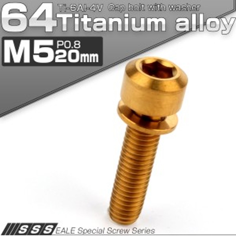 NEW売り切れる前に☆ キャップボルト M6×15mm P1.0 テーパーヘッド ステンレス シルバーカラー 1個 TB0013  dprd.jatimprov.go.id