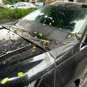 🔥臺灣出貨🔥汽車前排水槽防落葉擋樹葉罩磁吸防水防塵罩汽車防落葉簡易小半罩 WPZD