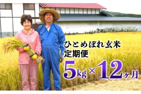 ≪令和5年産  新米≫減農薬栽培 ひとめぼれ 玄米 5kg 