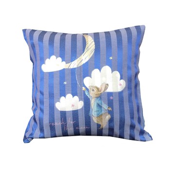 比得兔抱枕_藍色冒險