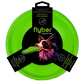 COLLAR 扣樂 雙面健身飛盤  22cm  1個  青草綠