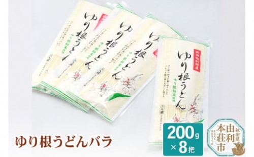 秋田県由利本荘市特産 ゆり根うどんバラ8把 合計1.6kg(200g×8把)