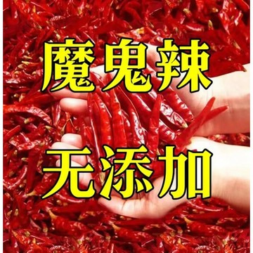整顆辣椒乾500g 切斷辣椒乾 粗粉 細粉 中粗粉 辣椒面 特辣幹辣椒批發魔鬼辣椒幹辣椒超辣香辣辣椒粉辣椒段幹紅辣椒