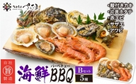 [e04-a005] 厳選！海鮮BBQ≪B≫セット（5種14品、3～4人用） エビ サザエ ホタテ 牡蠣 アワビ バーベキュー アウトドア 網焼き 冷凍便