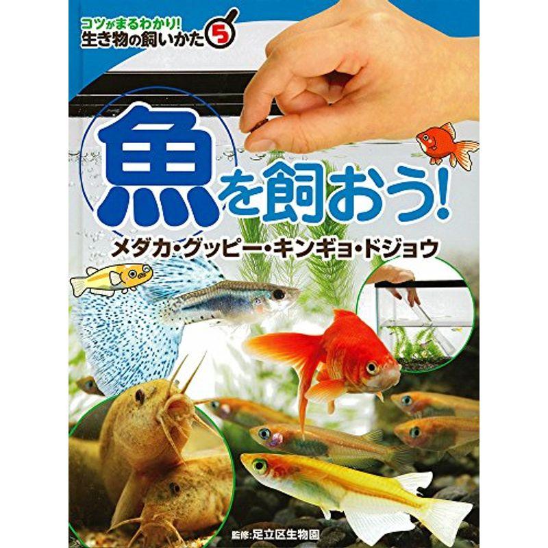 魚を飼おう: メダカ・グッピー・キンギョ・ドジョウ (コツがまるわかり生き物の飼いかた)