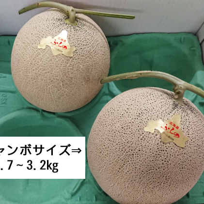 ふらの 赤肉メロン 厳選 秀品 ジャンボサイズ 2.7kg～3.2kg 2玉 セット ファーム富良野 メロン めろん 富良野メロン 果物 くだもの フルーツ 富良野 デザート 北海道