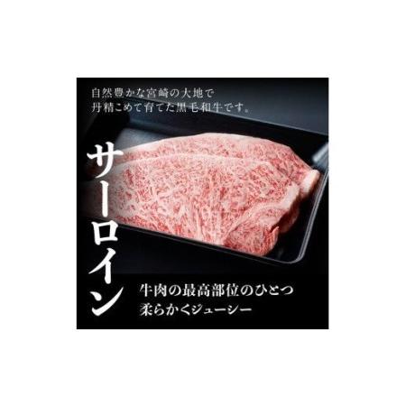 ふるさと納税 ※令和6年2月より順次発送※宮崎県産黒毛和牛 牛肉 サーロインステーキ 400g 肉 牛肉  牛 国産牛肉 牛 九州産牛 牛 和牛 ステーキ .. 宮崎県川南町