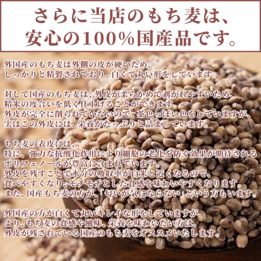 セール 国産 もち麦 9kg(450g×20袋) （翌日発送） 無添加 無着色 雑穀 雑穀米 ダイエット 置き換え 食品 食物繊維 送料無料