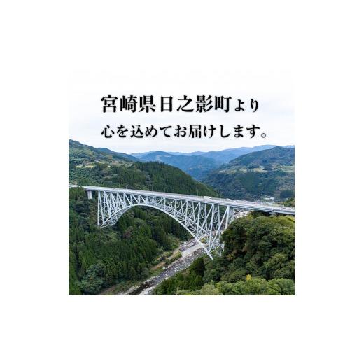 ふるさと納税 宮崎県 日之影町 ＜新米・令和5年産＞神々の里 高千穂郷ひのひかり(計20kg・5kg×4袋)