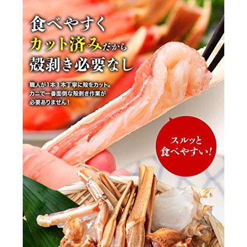 内容量 600g 食の達人森源商店 カット済み 特大 生ずわい蟹 内容量 600g 約2人前 生食可